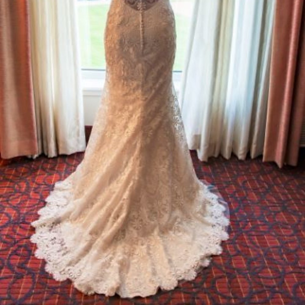 Maggie Sottero Ivory Lace Halter Trumpet Gown - Picture 12 of 13